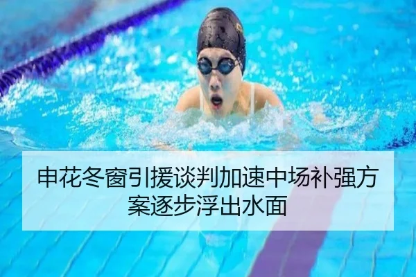 申花冬窗引援谈判加速中场补强方案逐步浮出水面